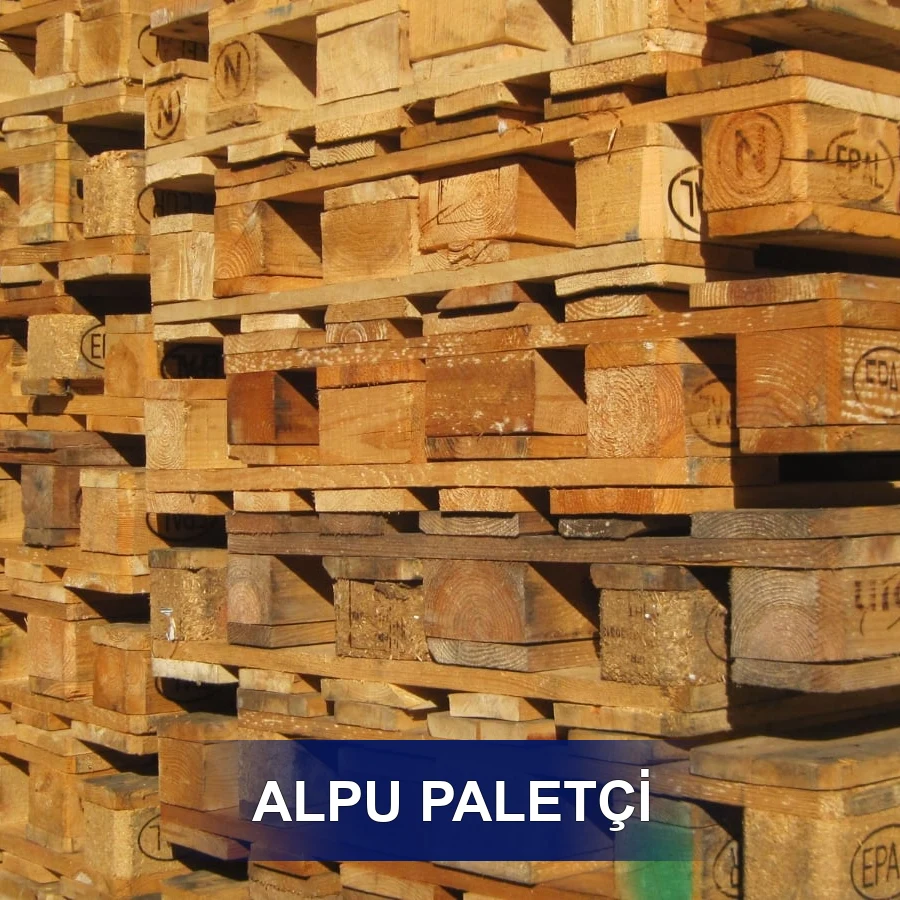 Alpu Paletçi